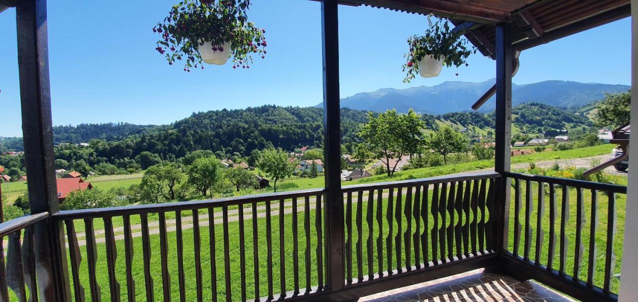 Casa Elena Guest House Бран Екстериор снимка