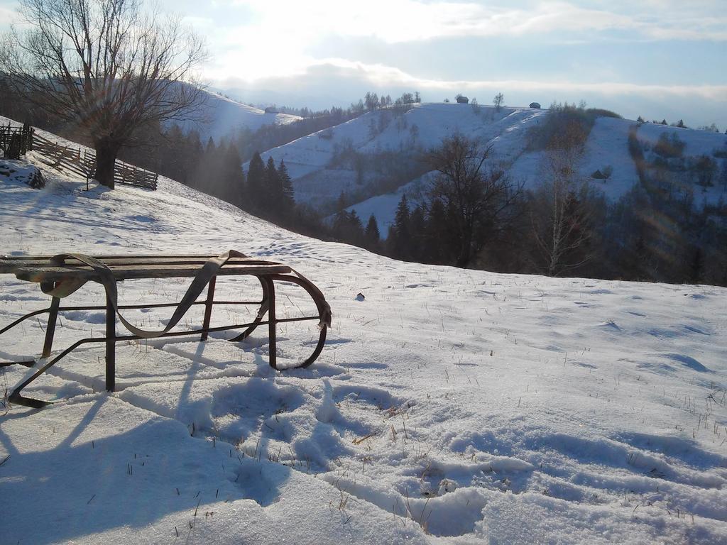 Casa Elena Guest House Бран Екстериор снимка