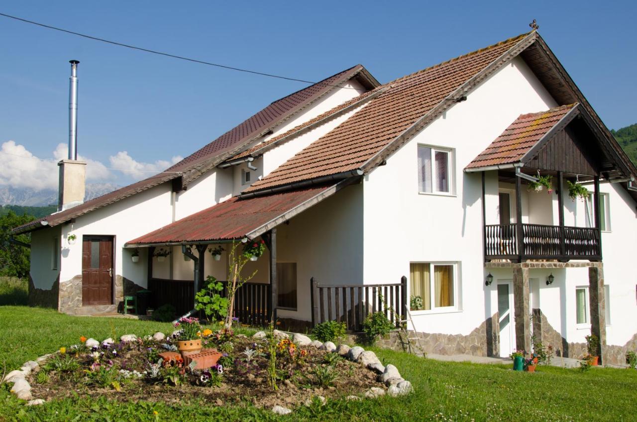 Casa Elena Guest House Бран Екстериор снимка
